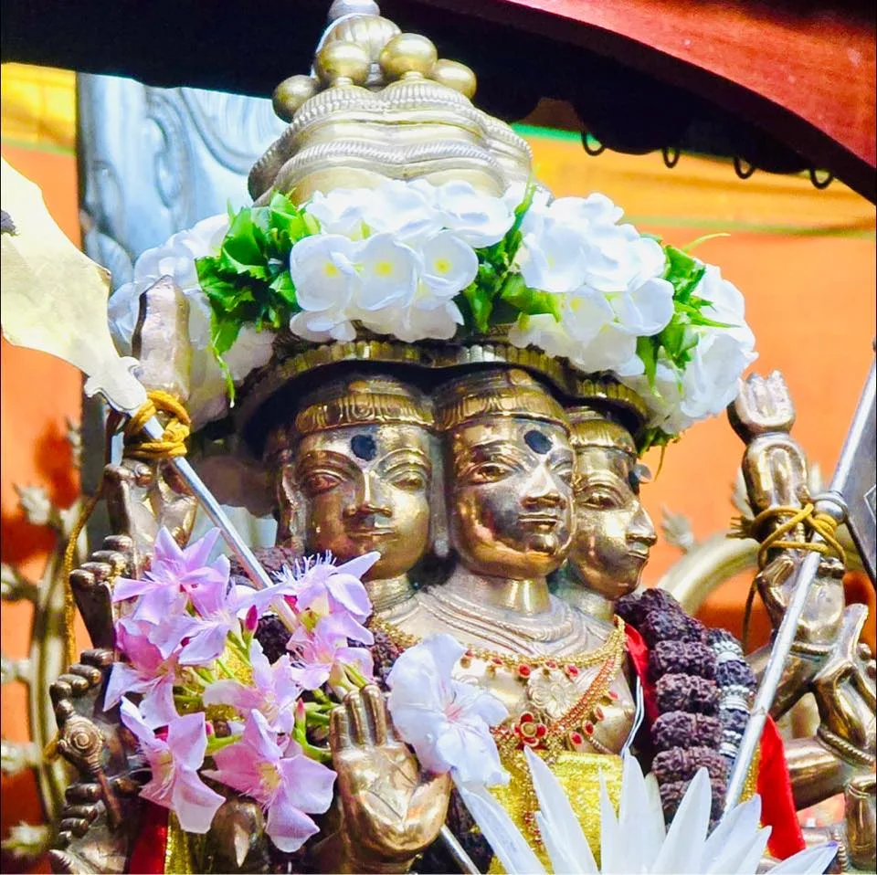 Sri Lanka Tour 2024 — photo 2