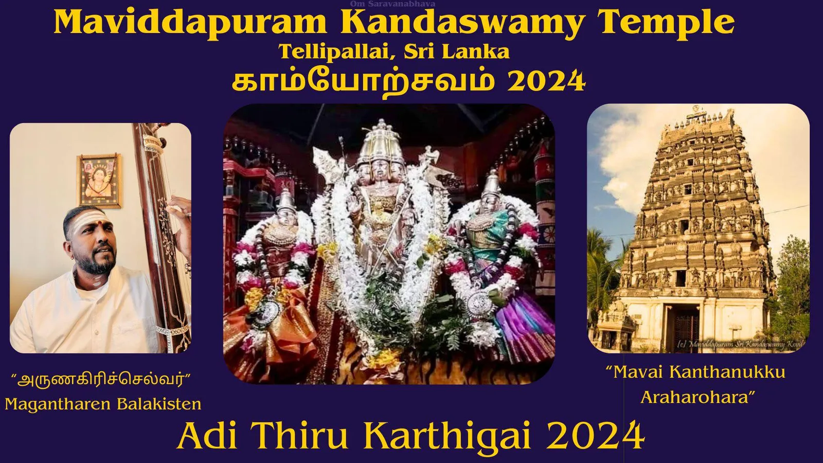 Sri Lanka Tour 2024 — photo 12
